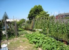 Kwikfynd Vegetable Gardens
unley